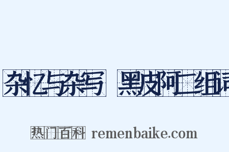 杂忆与杂写·黑皮阿二组词是什么意思的图片